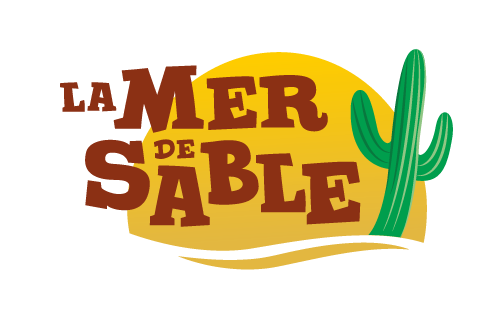 Lire la suite à propos de l’article Journée en Famille à la Mer de sable à Ermenonville