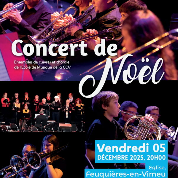 Concert de Noël – Ecole de musique de la CCV
