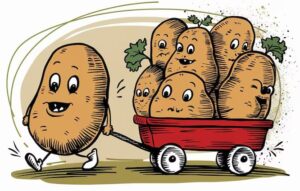 Lire la suite à propos de l’article DISTRIBUTION GRATUITE DE POMMES DE TERRE
