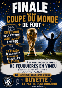 Lire la suite à propos de l’article Diffusion de la coupe du monde de football